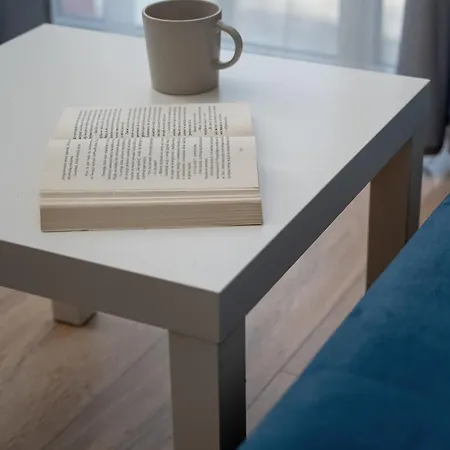 Funkcjonalny Akceptujacy Zwierzeta We Wroclawiu By Renters Apartment *