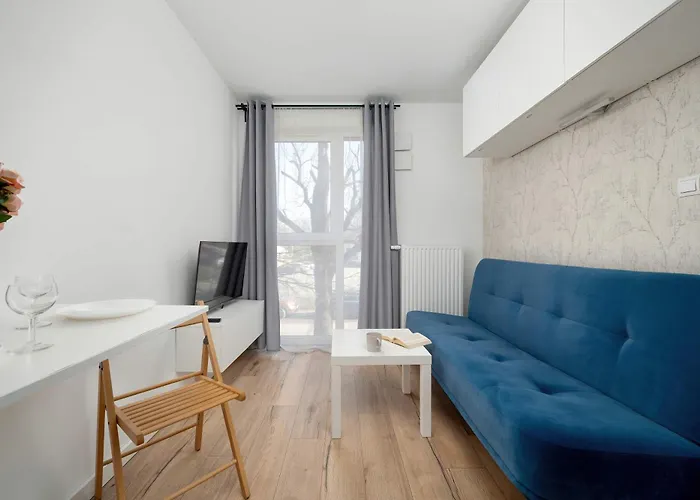 Funkcjonalny Akceptujacy Zwierzeta We Wroclawiu By Renters Apartment Wroclaw