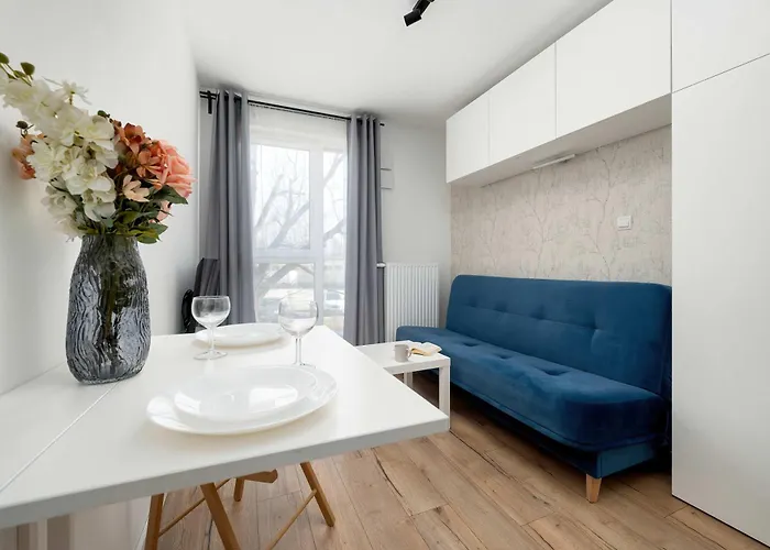 Funkcjonalny Akceptujacy Zwierzeta We Wroclawiu By Renters Wroclaw