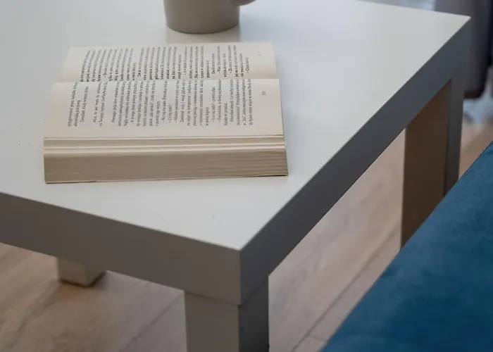 Funkcjonalny Akceptujacy Zwierzeta We Wroclawiu By Renters Apartment *