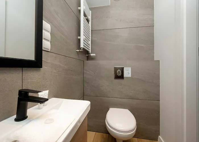 Funkcjonalny Akceptujacy Zwierzeta We Wroclawiu By Renters Apartment Wroclaw